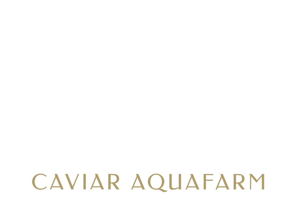 Northern Divine Aquafarms