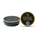Northern Divine White Sturgeon Gift Box